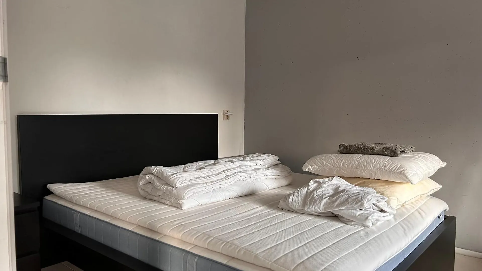 Homestay Properties アムステルダム